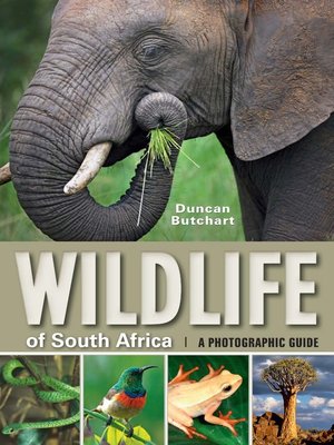 cover image of Wildlife of South Africa